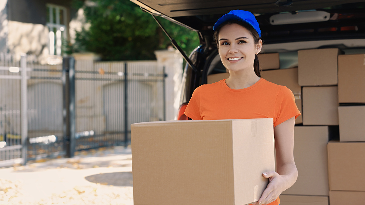 About MRex Logistics Couriers 
